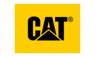 cat.png